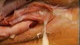 بسٹ سنہرے بالوں والی ...