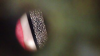 بڑی گدی کے ساتھ شرار ...