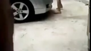 اعلی درجے کی لیسبی ا ...
